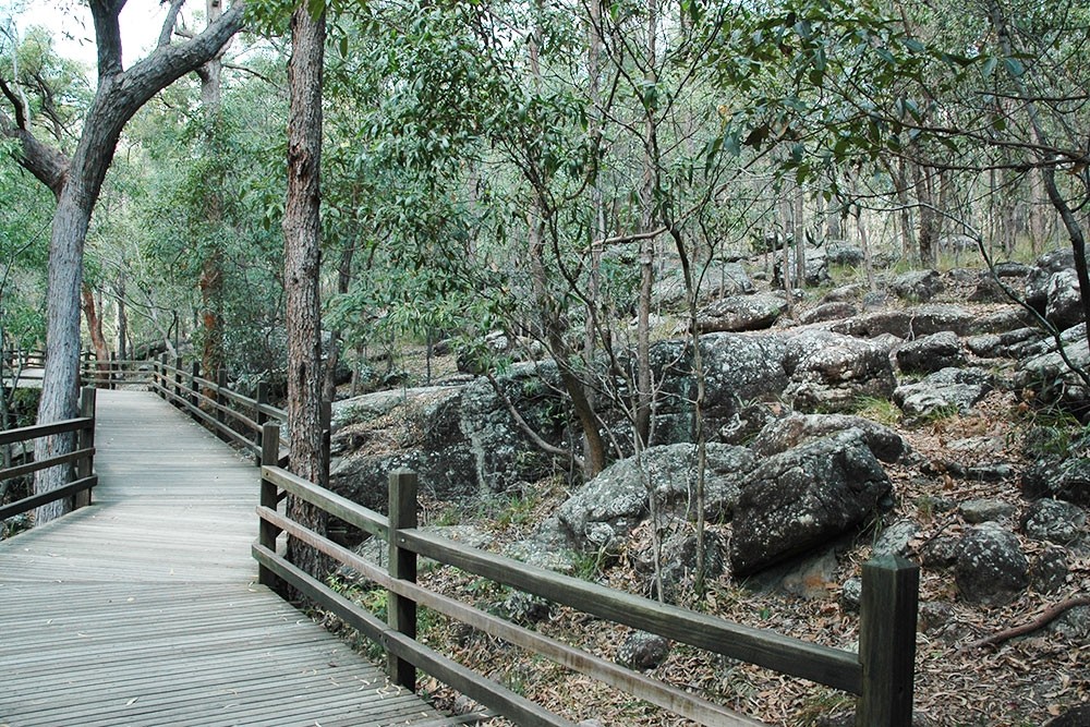 Toohey Forest